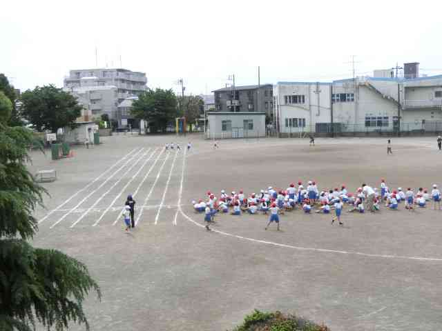CIMG1274