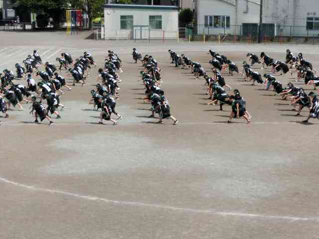 CIMG1463